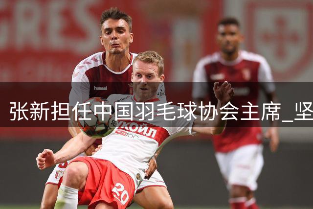 张新担任中国羽毛球协会主席 坚决把反腐败斗争进行到底